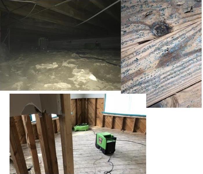top left is under the house, top right mold growth on wood that was removed, bottom left is the dehumidifiers and drying 
