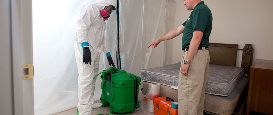 Yorba Linda, CA mold removal process