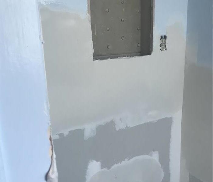 Removal for Mold Damage